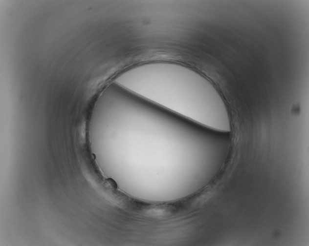 X0000115480358200911061030