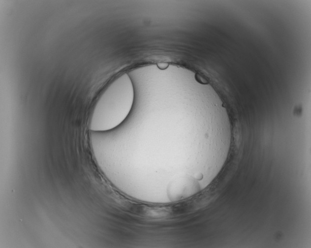 X0000115480359200911061030
