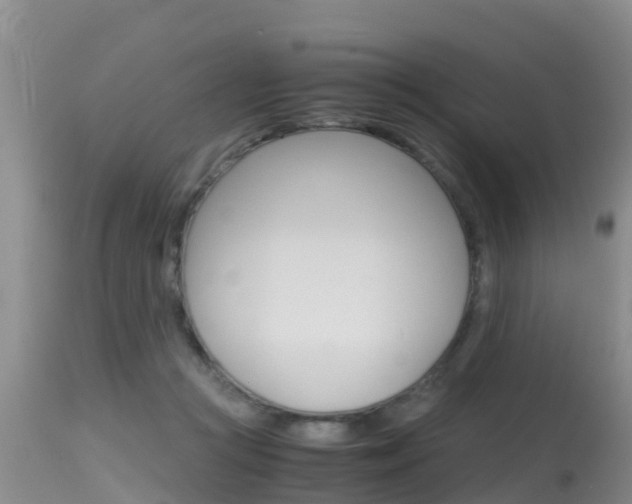 X0000115480361200911061030