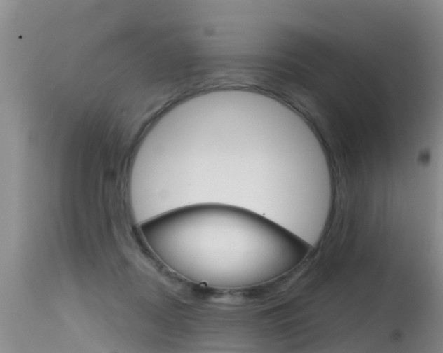 X0000115480362200911061030