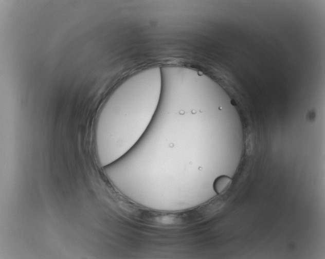 X0000115480365200911061030