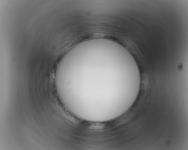 X0000115480369200911061030
