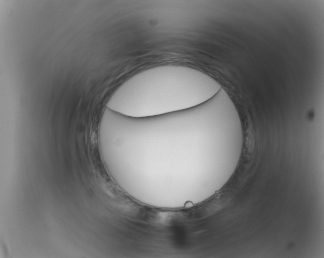 X0000115480371200911061030