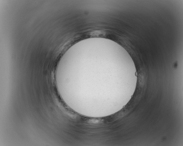 X0000115480375200911061030