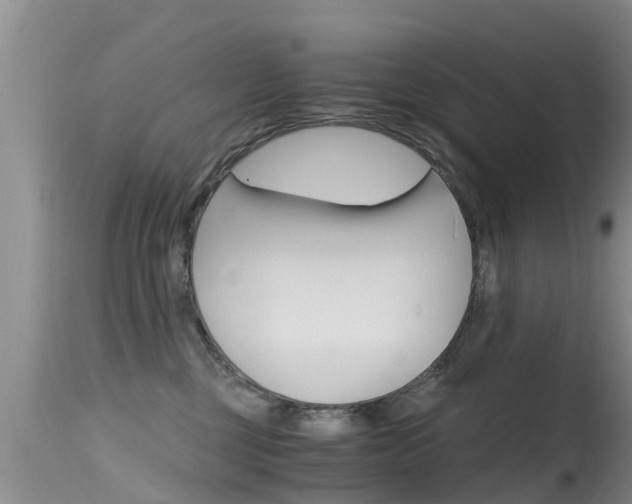 X0000115480377200911061030