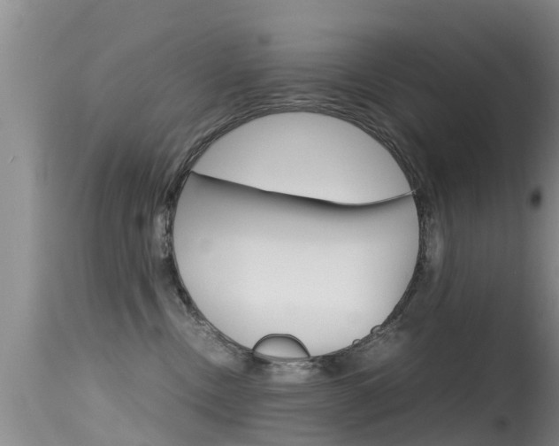 X0000115480378200911061030