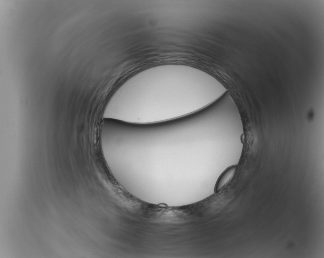 X0000115480379200911061030