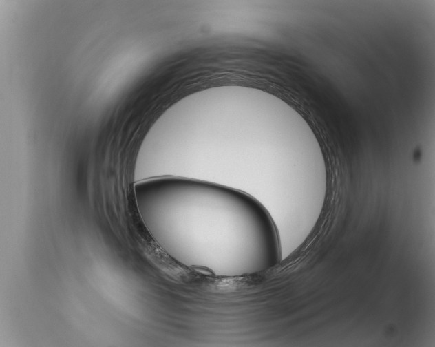 X0000115480382200911061030