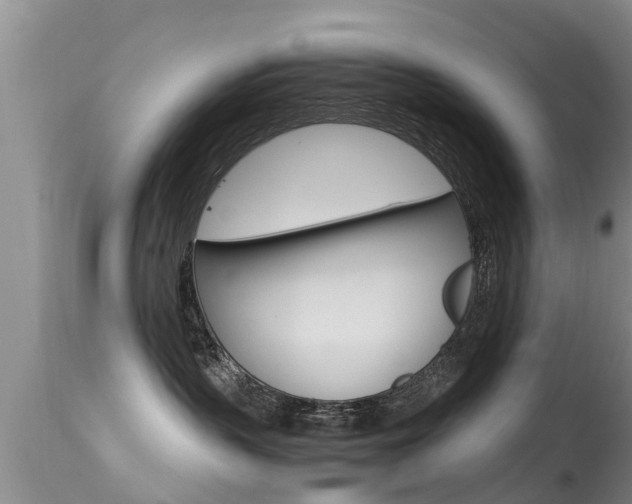 X0000115480383200911061030