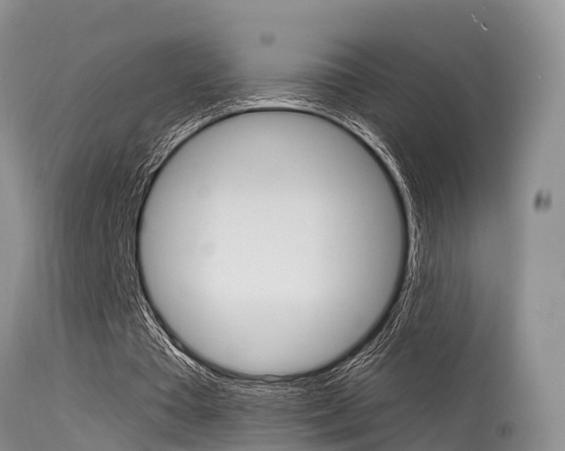 X0000115480385200911061029