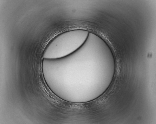 X0000115480386200911061029