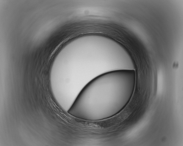 X0000115480387200911061029
