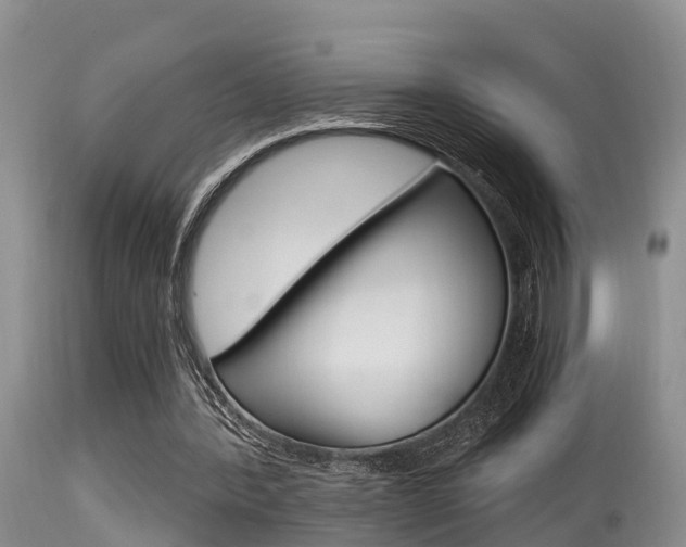 X0000115480388200911061029