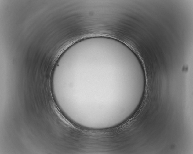 X0000115480389200911061029