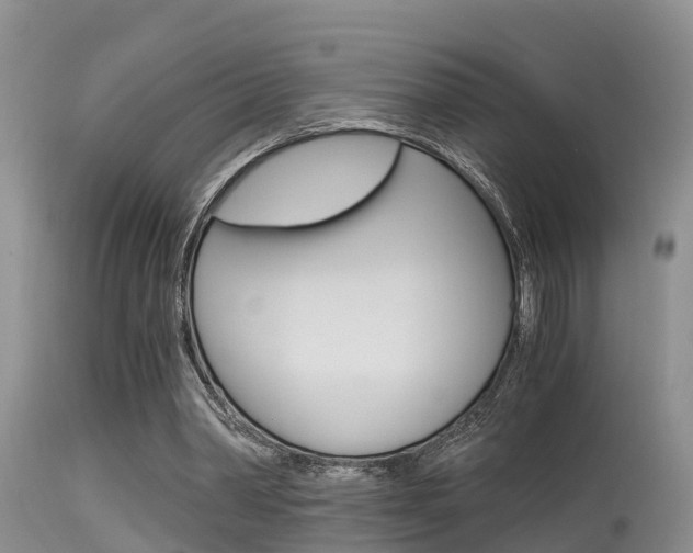 X0000115480390200911061029
