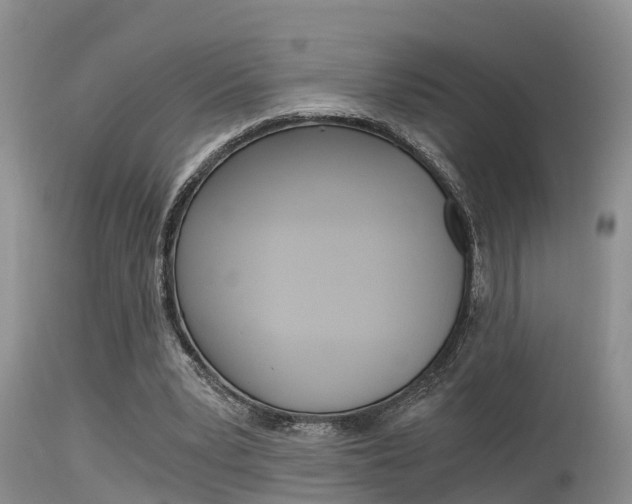 X0000115480391200911061029