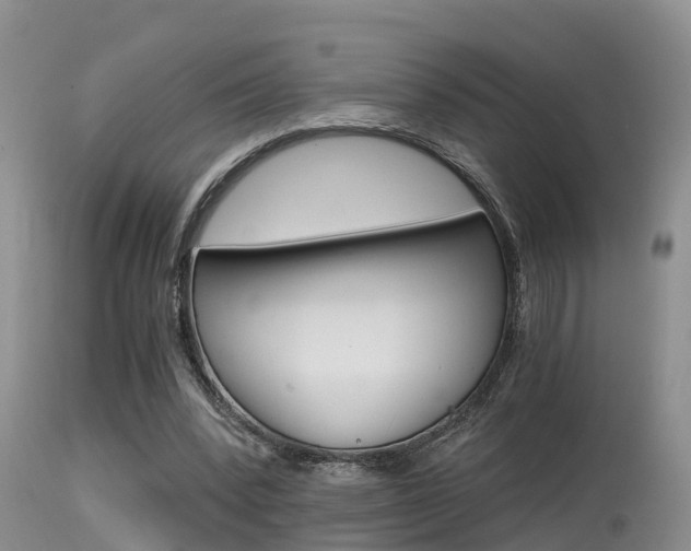 X0000115480392200911061029