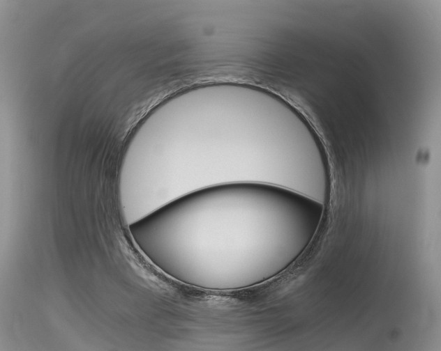 X0000115480393200911061029