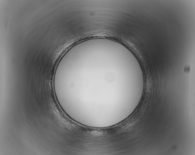 X0000115480394200911061029