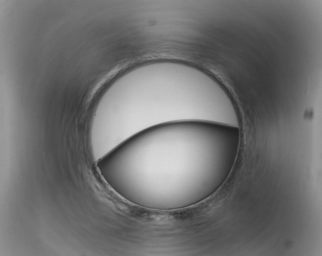 X0000115480395200911061029