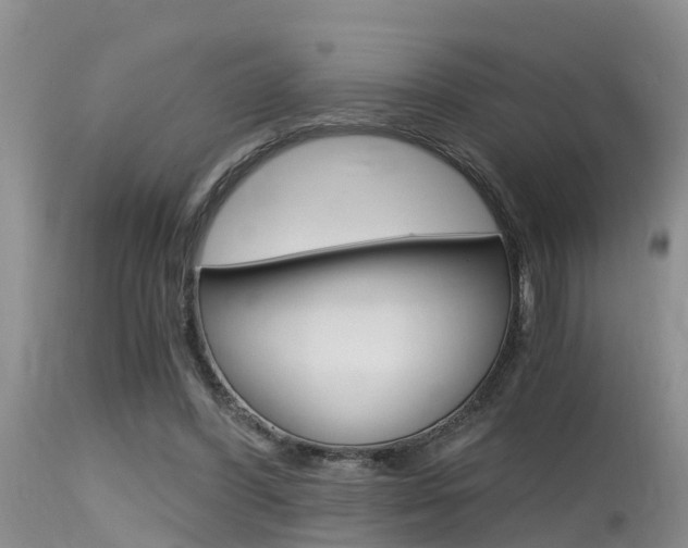 X0000115480396200911061029