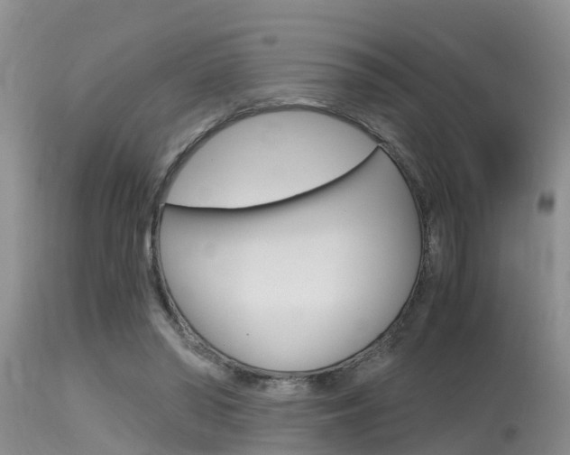 X0000115480398200911061029