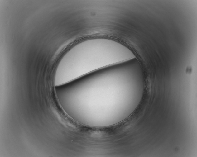 X0000115480400200911061029