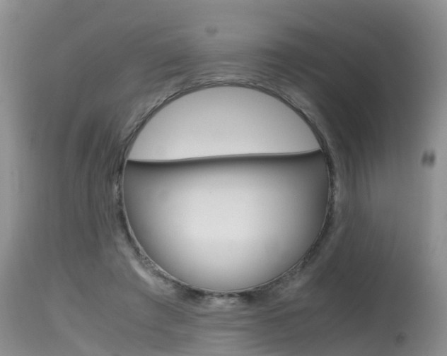 X0000115480401200911061029