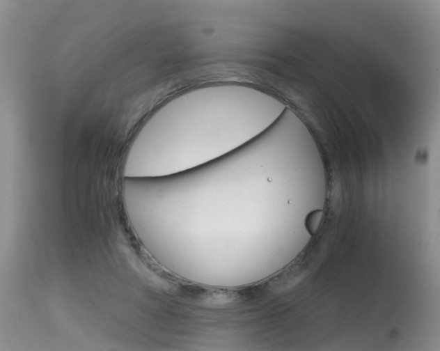 X0000115480402200911061029