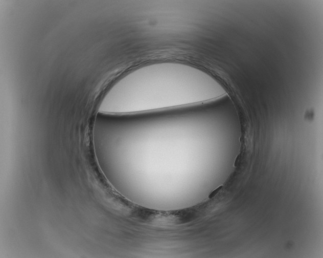 X0000115480403200911061029