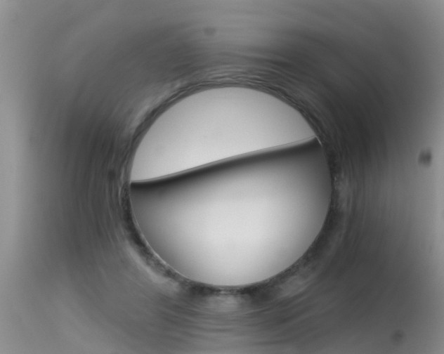 X0000115480404200911061029