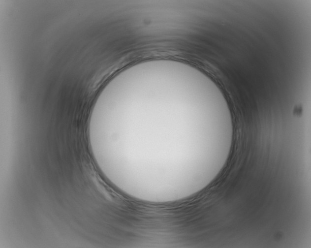 X0000115480405200911061029