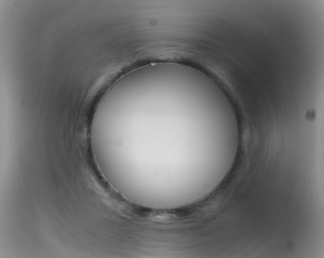X0000115480407200911061029