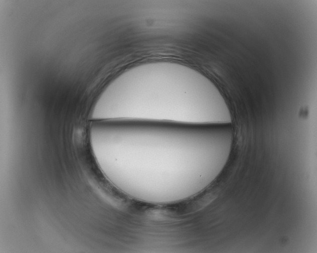 X0000115480408200911061029