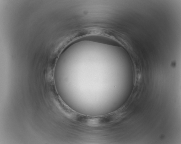 X0000115480411200911061029