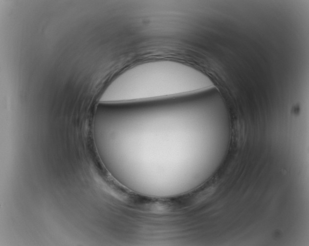X0000115480412200911061029