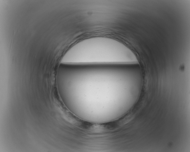 X0000115480413200911061029