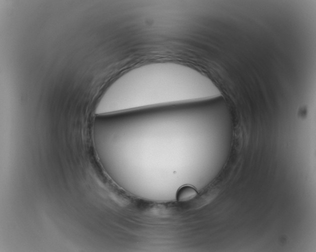 X0000115480416200911061029