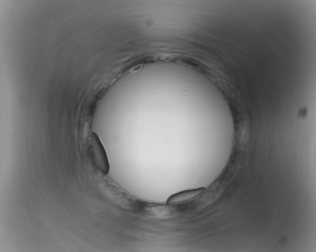 X0000115480417200911061029