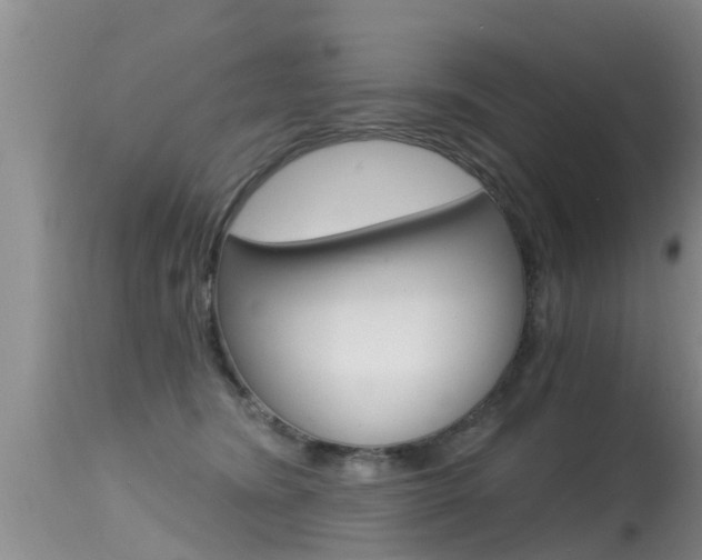 X0000115480420200911061029