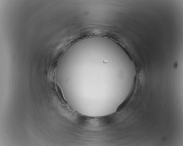 X0000115480423200911061029