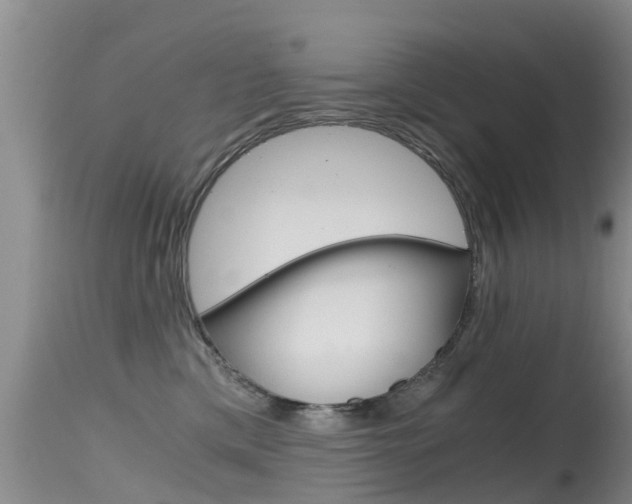 X0000115480425200911061029