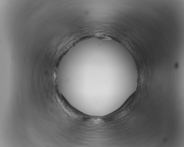 X0000115480427200911061029