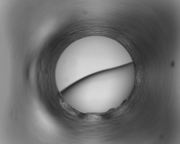 X0000115480429200911061029
