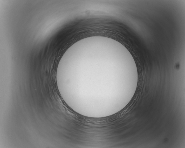 X0000115480431200911061029