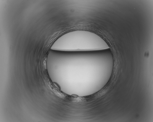 X0000115480432200911061029