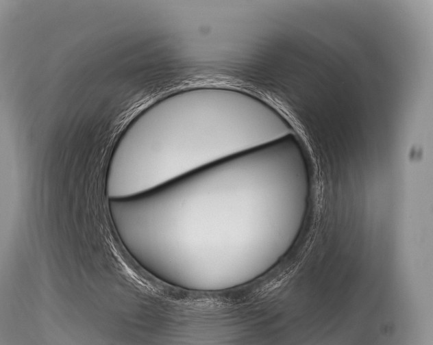 X0000115480433200911061028