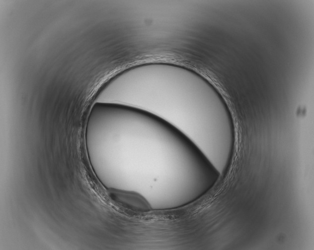 X0000115480434200911061028