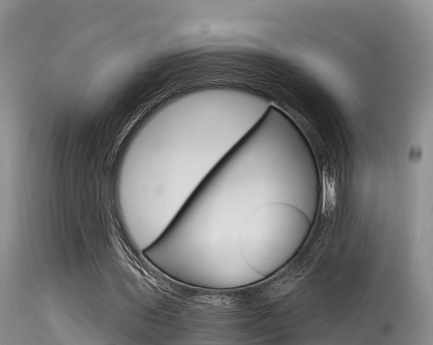 X0000115480435200911061028