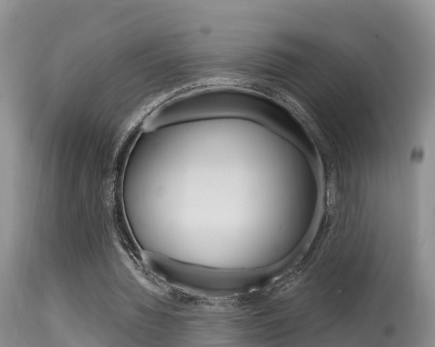X0000115480436200911061028
